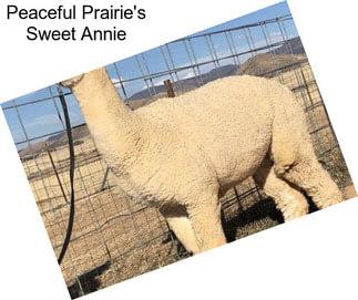 Peaceful Prairie\'s Sweet Annie