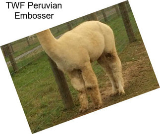 TWF Peruvian Embosser
