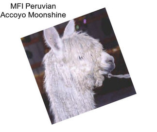 MFI Peruvian Accoyo Moonshine