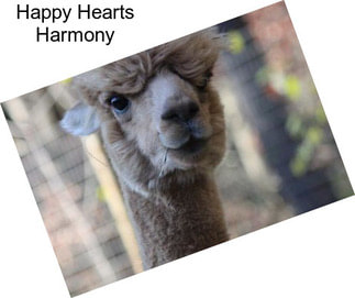 Happy Hearts Harmony