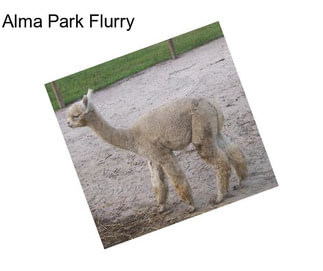 Alma Park Flurry