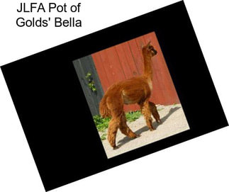 JLFA Pot of Golds\' Bella