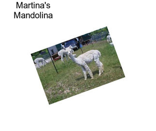 Martina\'s Mandolina