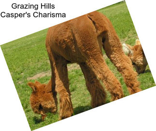 Grazing Hills Casper\'s Charisma
