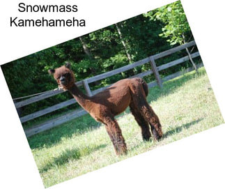 Snowmass Kamehameha