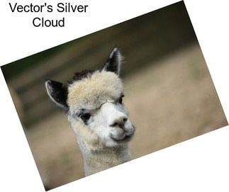 Vector\'s Silver Cloud