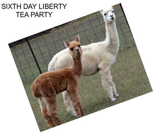 SIXTH DAY LIBERTY TEA PARTY