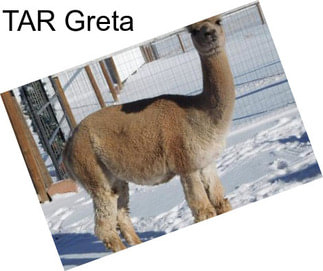 TAR Greta