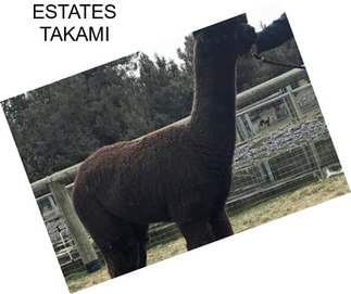 ESTATES TAKAMI