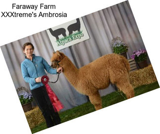 Faraway Farm XXXtreme\'s Ambrosia