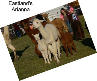Eastland\'s Arianna