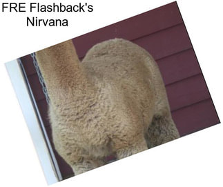 FRE Flashback\'s Nirvana