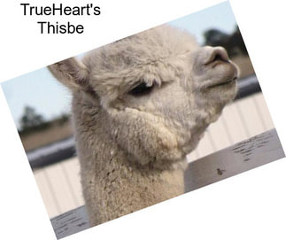 TrueHeart\'s Thisbe