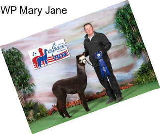 WP Mary Jane