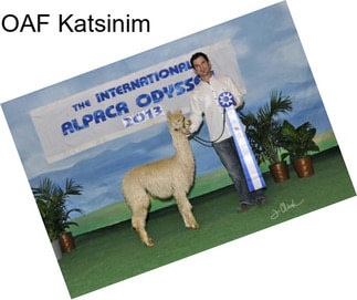 OAF Katsinim