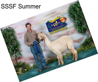 SSSF Summer