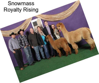 Snowmass Royalty Rising