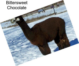 Bittersweet Chocolate