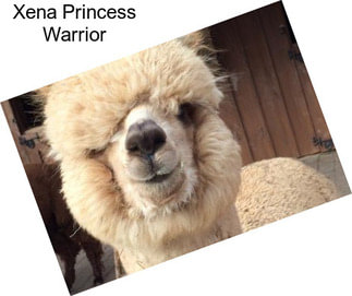 Xena Princess Warrior