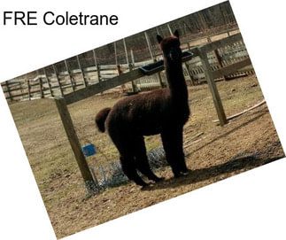 FRE Coletrane