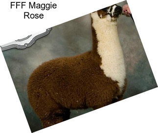 FFF Maggie Rose