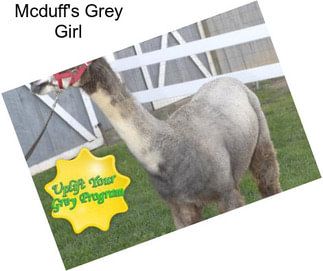Mcduff\'s Grey Girl