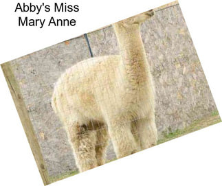Abby\'s Miss Mary Anne