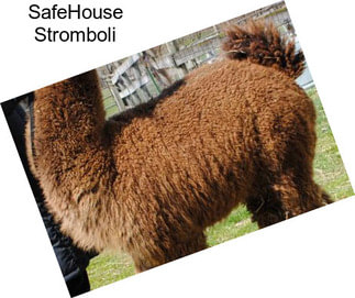 SafeHouse Stromboli