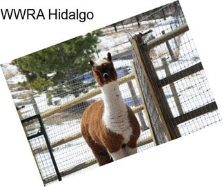 WWRA Hidalgo