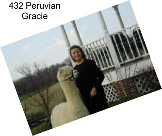 432 Peruvian Gracie