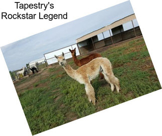 Tapestry\'s Rockstar Legend