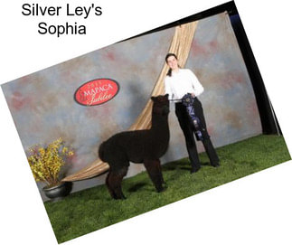 Silver Ley\'s Sophia