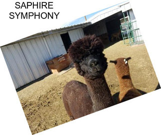 SAPHIRE SYMPHONY