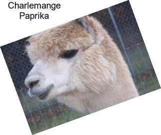 Charlemange Paprika