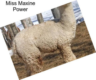 Miss Maxine Power