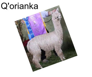 Q\'orianka