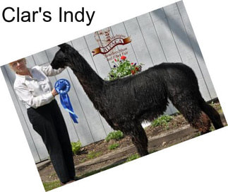 Clar\'s Indy