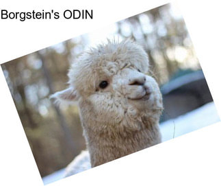 Borgstein\'s ODIN