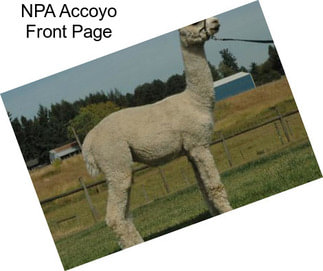 NPA Accoyo Front Page