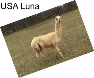 USA Luna