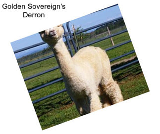 Golden Sovereign\'s Derron