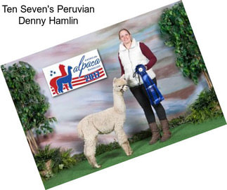 Ten Seven\'s Peruvian Denny Hamlin