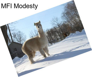 MFI Modesty