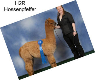 H2R Hossenpfeffer