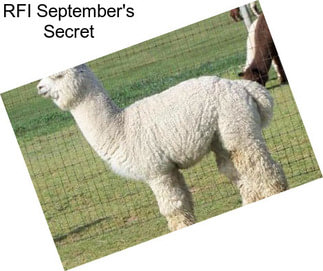RFI September\'s Secret
