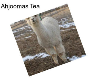 Ahjoomas Tea