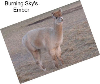 Burning Sky\'s Ember