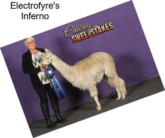 Electrofyre\'s Inferno