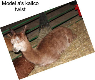 Model a\'s kalico twist