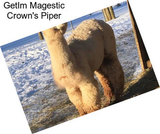 GetIm Magestic Crown\'s Piper